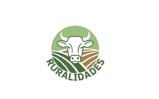 Logo tipo site